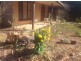 206 Boys Road, South Forest TAS 7330