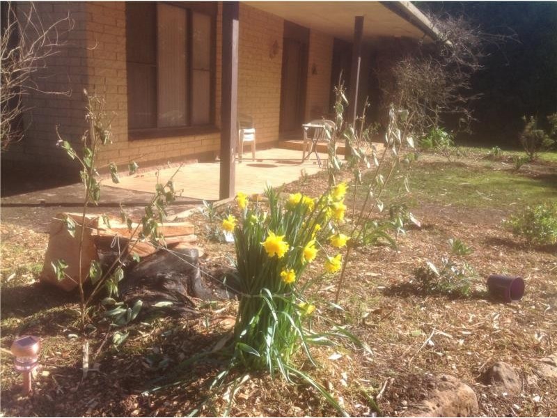206 Boys Road, South Forest TAS 7330
