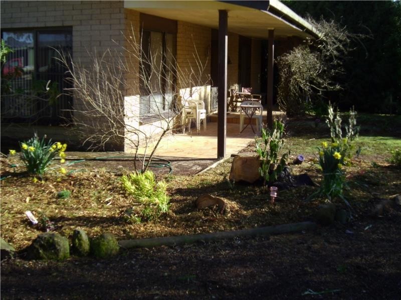 206 Boys Road, South Forest TAS 7330