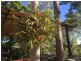27 Amy Drive, Beenleigh QLD 4207