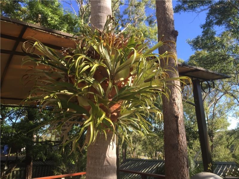 27 Amy Drive, Beenleigh QLD 4207