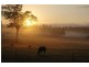 Tamrookum Creek QLD 4285