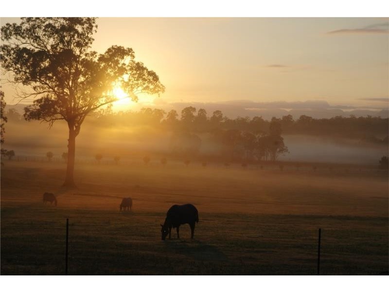 Tamrookum Creek QLD 4285