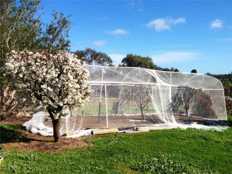 78 Moir Street, Frankland WA 6396