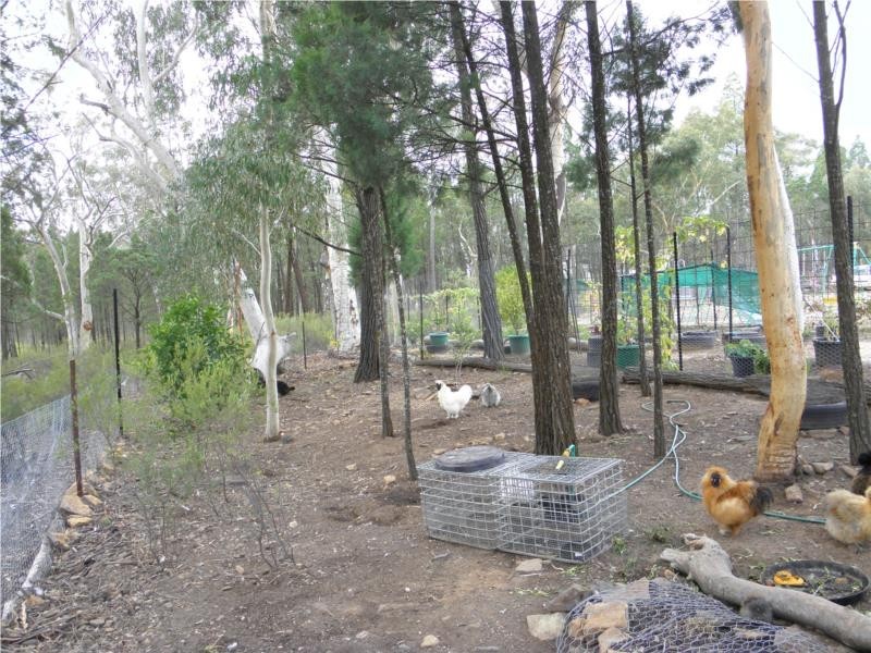 Coonabarabran NSW 2357