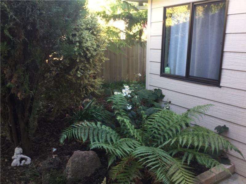 18 Beattie Street, Scottsdale TAS 7260