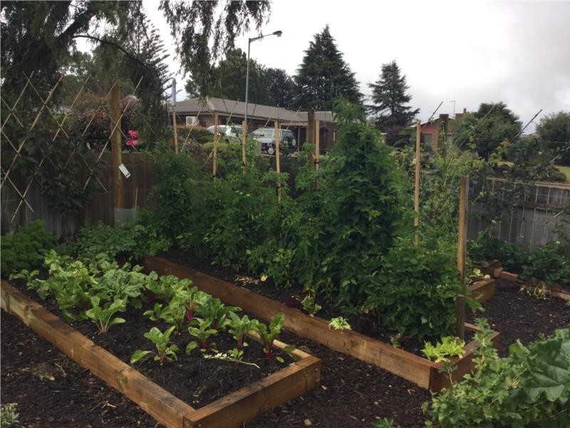 18 Beattie Street, Scottsdale TAS 7260