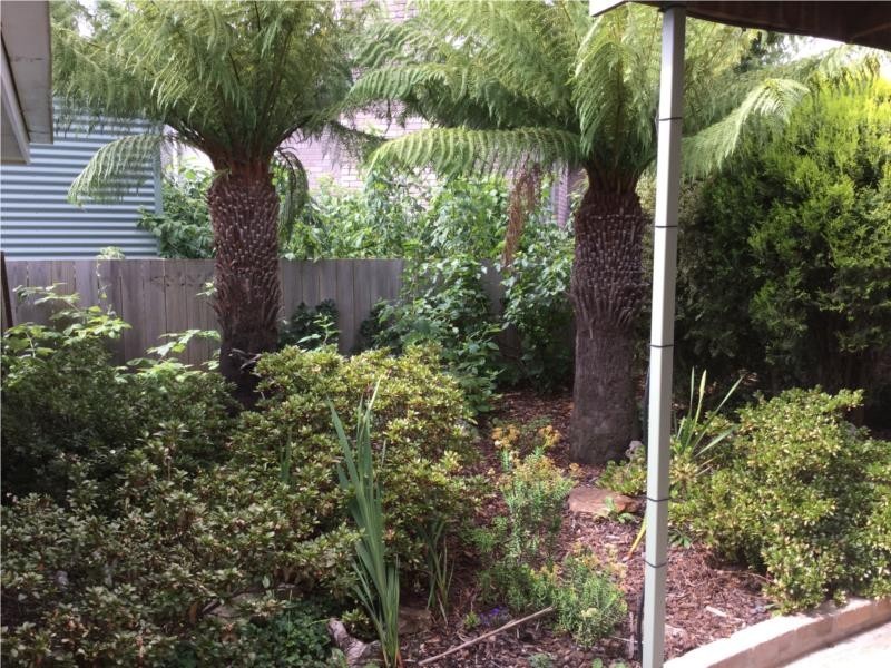 18 Beattie Street, Scottsdale TAS 7260