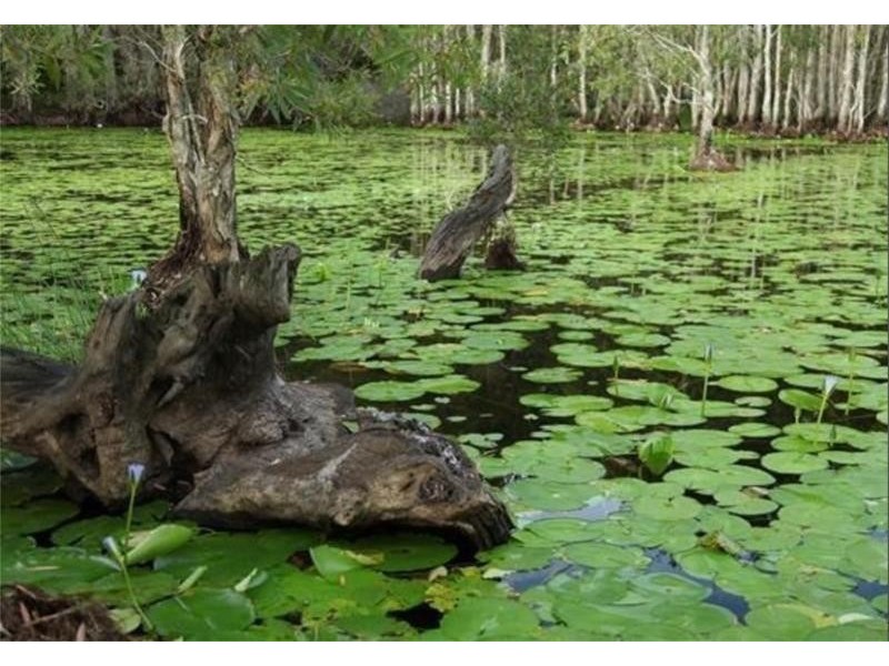 15 Bolwarra Place, Meridan Plains QLD 4551