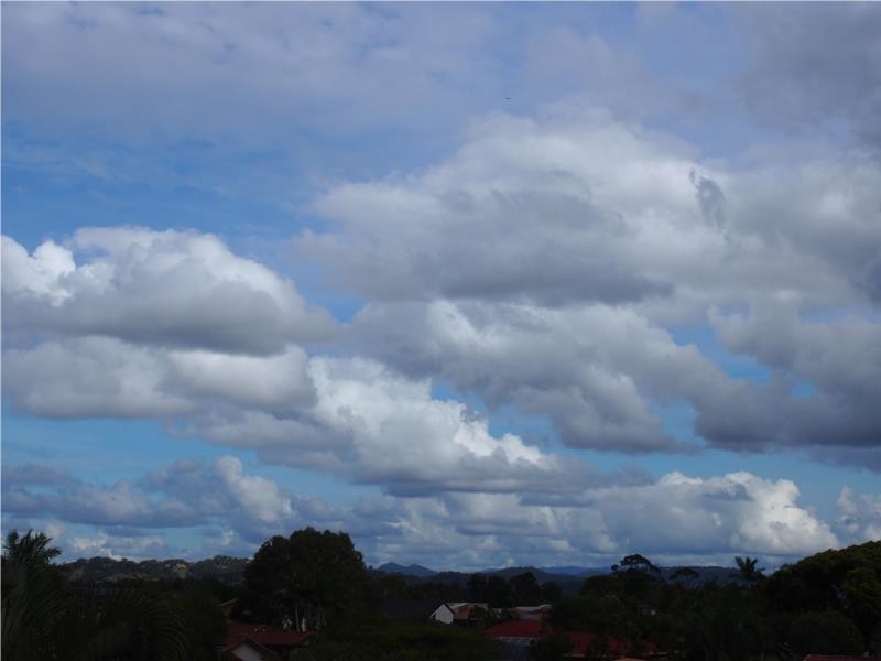 1/8 Mariners Crescent, Banora Point NSW 2486