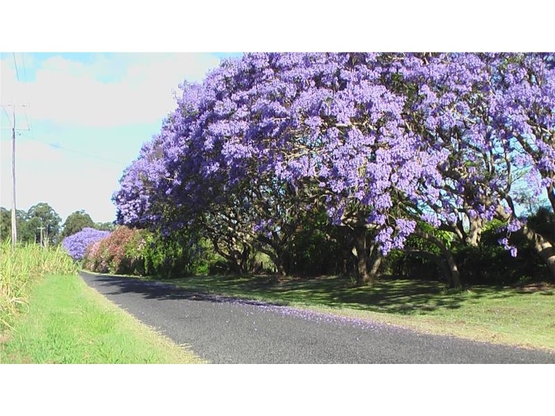 22 Dou-Jea Lane, Lynwood NSW 2477