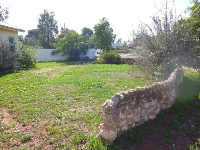 10 Mitchell Avenue, Dareton NSW 2717