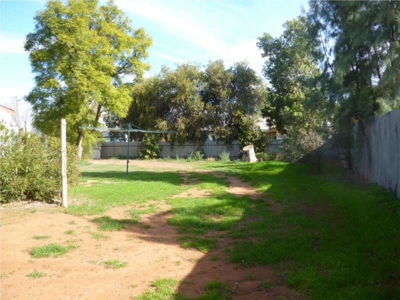 10 Mitchell Avenue, Dareton NSW 2717