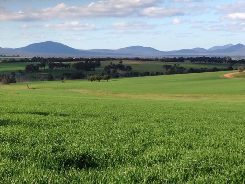 Lot 151/214 Costello Road, Kendenup WA 6323