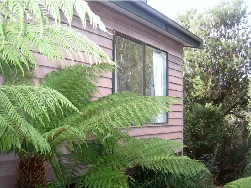 36 Harvey Street, Strahan TAS 7468