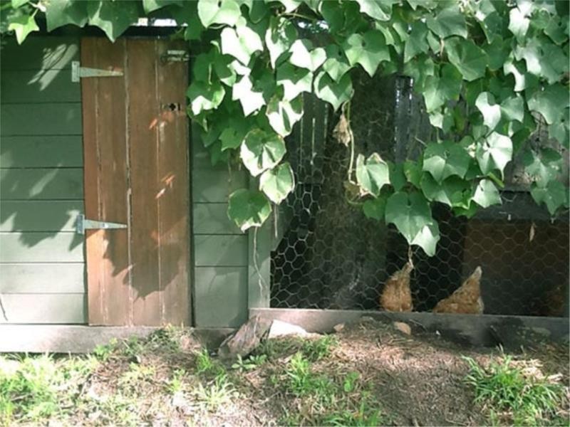 147 Vulcan Street, Moruya NSW 2537