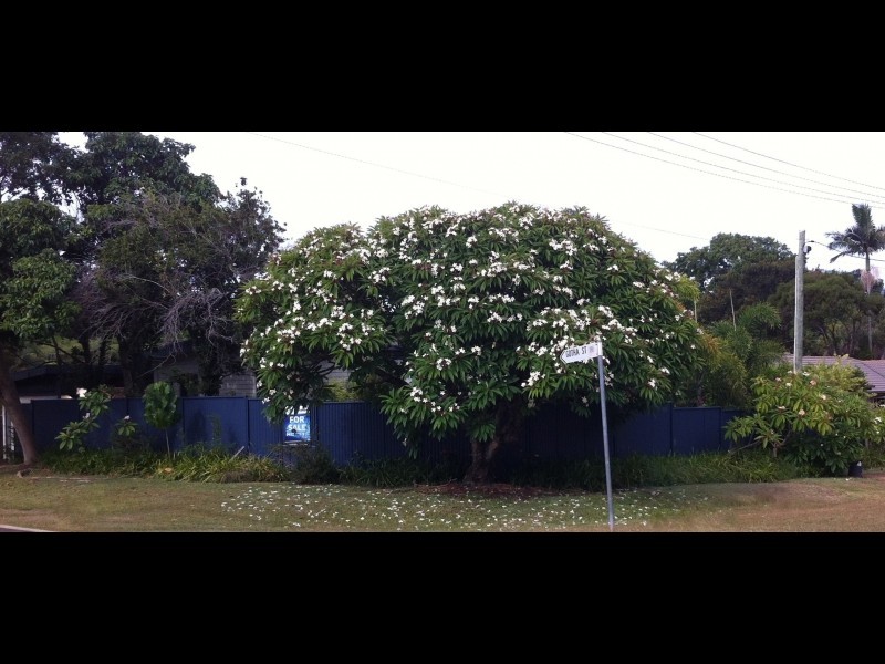 8 Princess Street, Cleveland QLD 4163