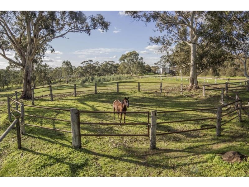 21 Sims Rush Lane, Cockatoo Valley SA 5351