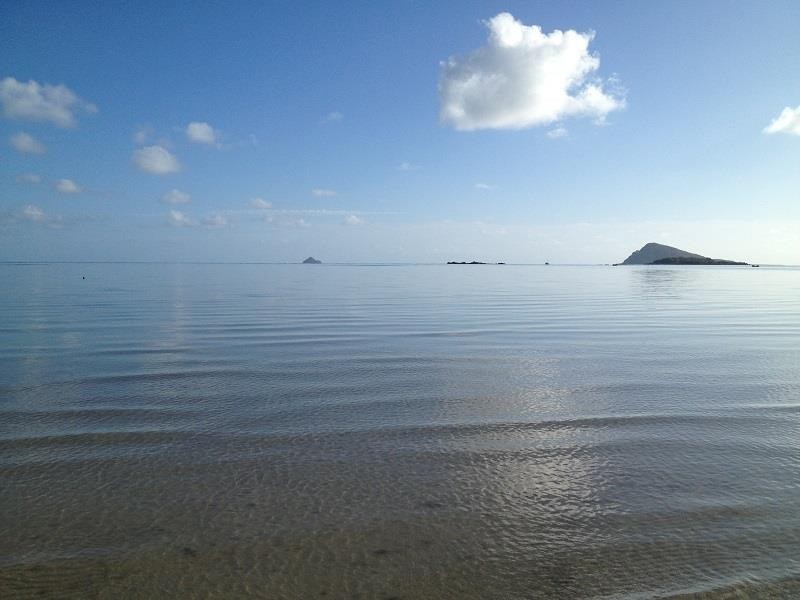 7 Cowry Crescent, Dingo Beach QLD 4800