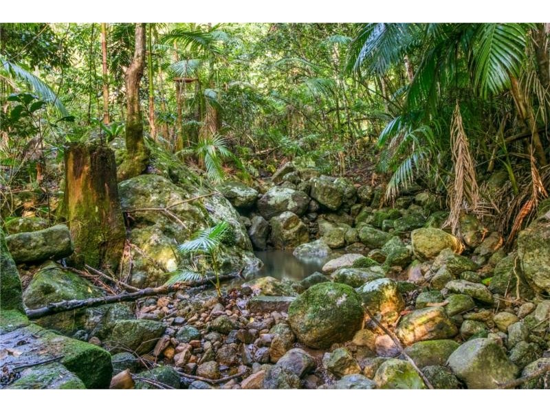 115 Johnsons Road, Huonbrook NSW 2482