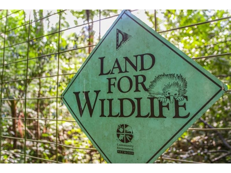 115 Johnsons Road, Huonbrook NSW 2482