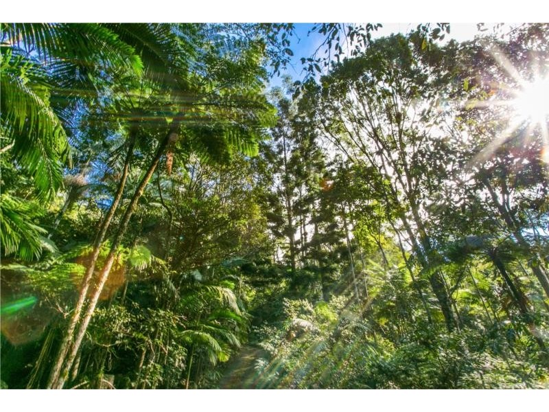 115 Johnsons Road, Huonbrook NSW 2482