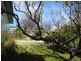 25 Athleen Avenue, Lenah Valley TAS 7008