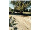 12 Seaflower Way, Gabbadah WA 6041