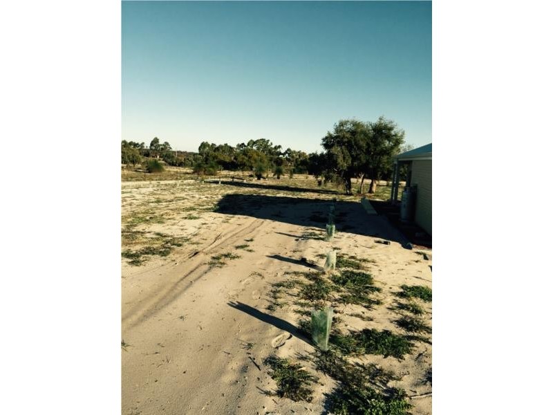 12 Seaflower Way, Gabbadah WA 6041