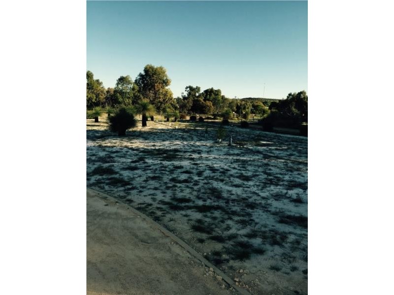 12 Seaflower Way, Gabbadah WA 6041