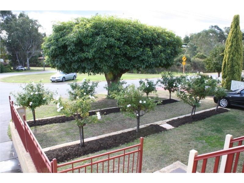 16 Churchill Drive, Swan View WA 6056