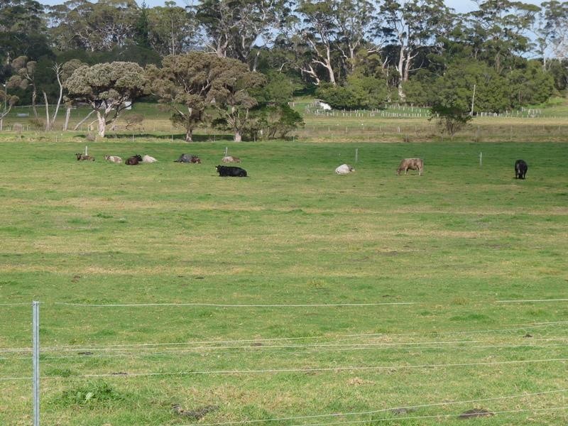 343 Lower Denmark Road, Albany WA 6330