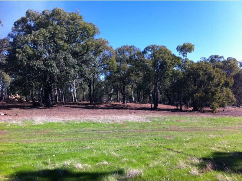 LOT 125 TURTLEDOVE DRIVE, Lower Chittering WA 6084