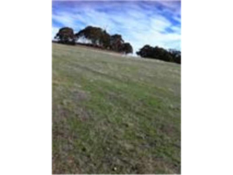 LOT 125 TURTLEDOVE DRIVE, Lower Chittering WA 6084