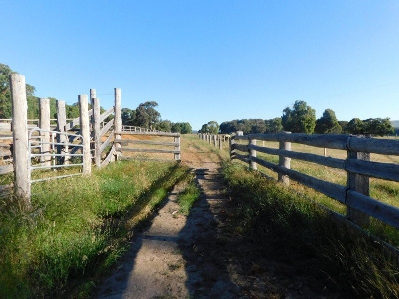 97 Horse Gully Road, Marraweeney VIC 3669