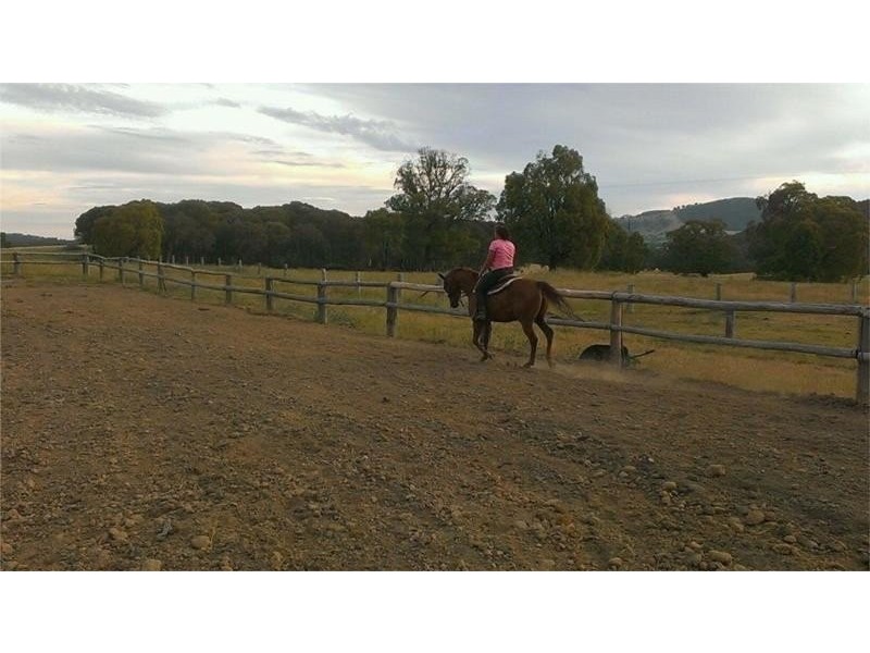 97 Horse Gully Road, Marraweeney VIC 3669