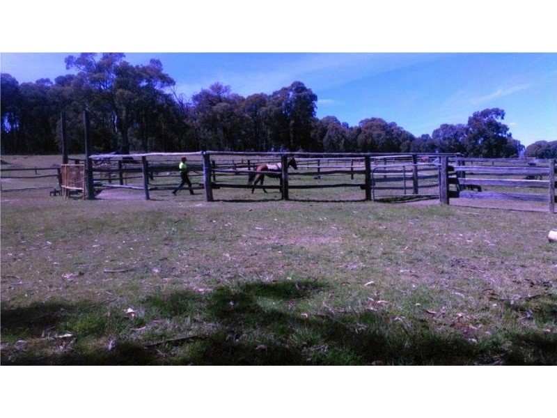 97 Horse Gully Road, Marraweeney VIC 3669