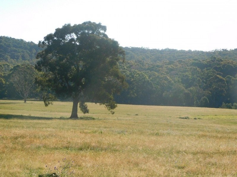 97 Horse Gully Road, Marraweeney VIC 3669