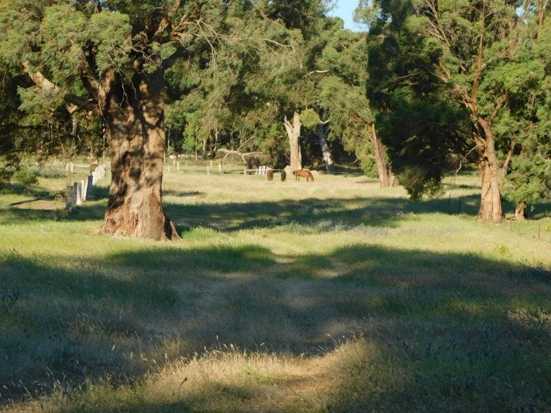 97 Horse Gully Road, Marraweeney VIC 3669