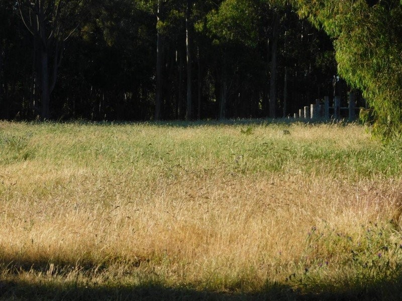 97 Horse Gully Road, Marraweeney VIC 3669