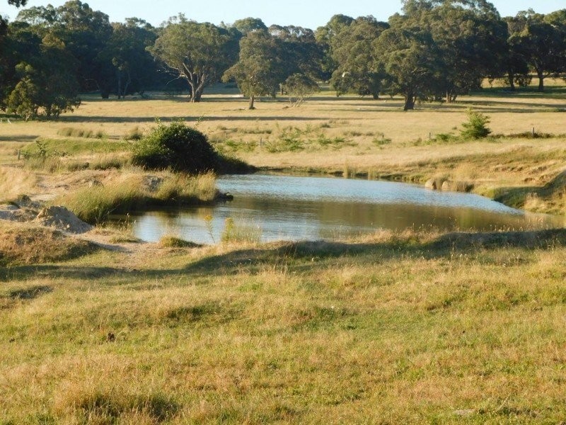 97 Horse Gully Road, Marraweeney VIC 3669