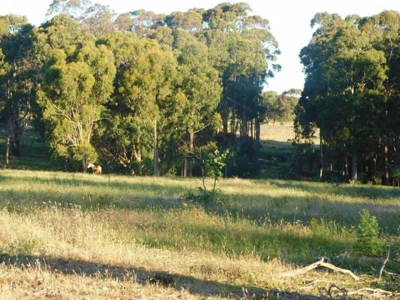 97 Horse Gully Road, Marraweeney VIC 3669