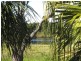 1 Pitt street, Taree NSW 2430