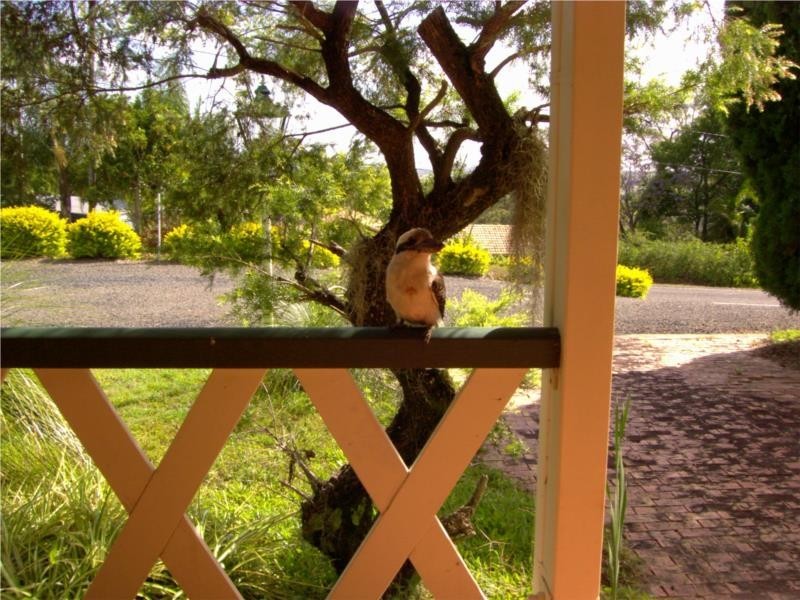 88 Francis Road, Bli Bli QLD 4560