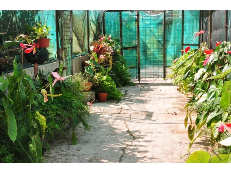 279 Myola Road, Kuranda QLD 4881