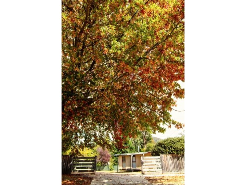 22 Toorak Road, Bright VIC 3741