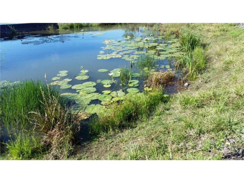 2 Bluestone Drive, Logan Reserve QLD 4133