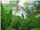 49 Murphy Street, Port Douglas QLD 4877