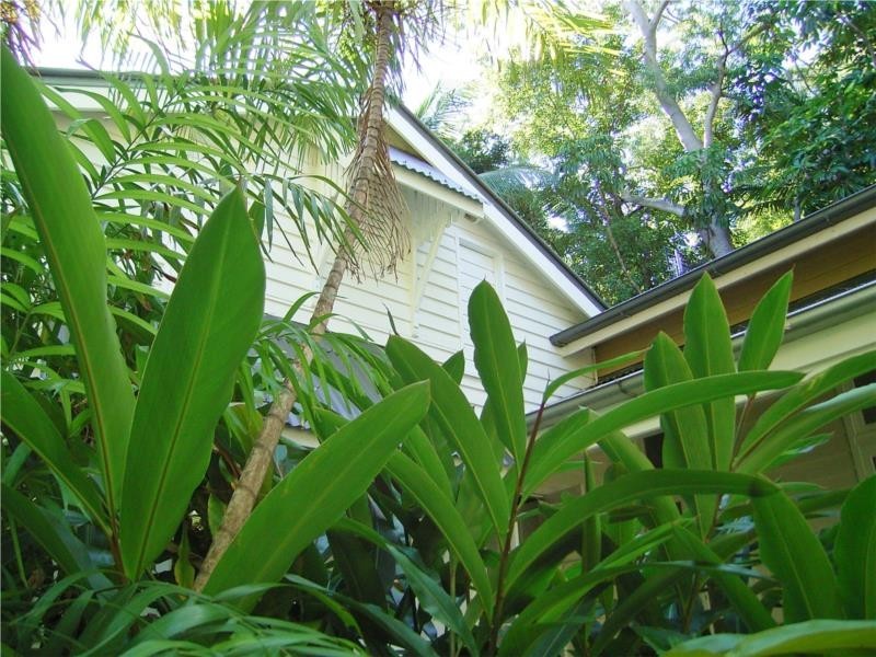 49 Murphy Street, Port Douglas QLD 4877