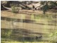 232 Franks Road, Blackbutt QLD 4306